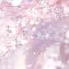 ✧　虹霓本丸　✧