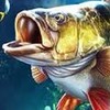 各大遊戲私服分享區