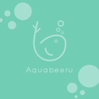 Aquabeeru Workshop