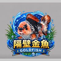 🐟《隔壁金魚》水族拍賣選購競標群