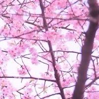 ⭐️お得節約ポイ活配信オプチャ⭐️