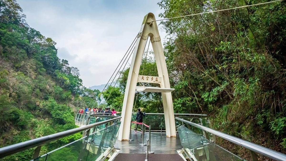 桃園人避暑首選！６條超好走私房步道：夢幻水母廊道、台灣小百岳、瀑布祕境