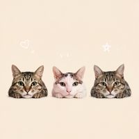 盤閨閨