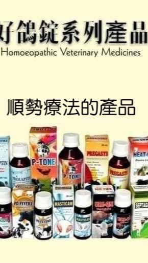 宜蘭鴿友聊天室