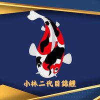 小林二代目錦鯉交流區