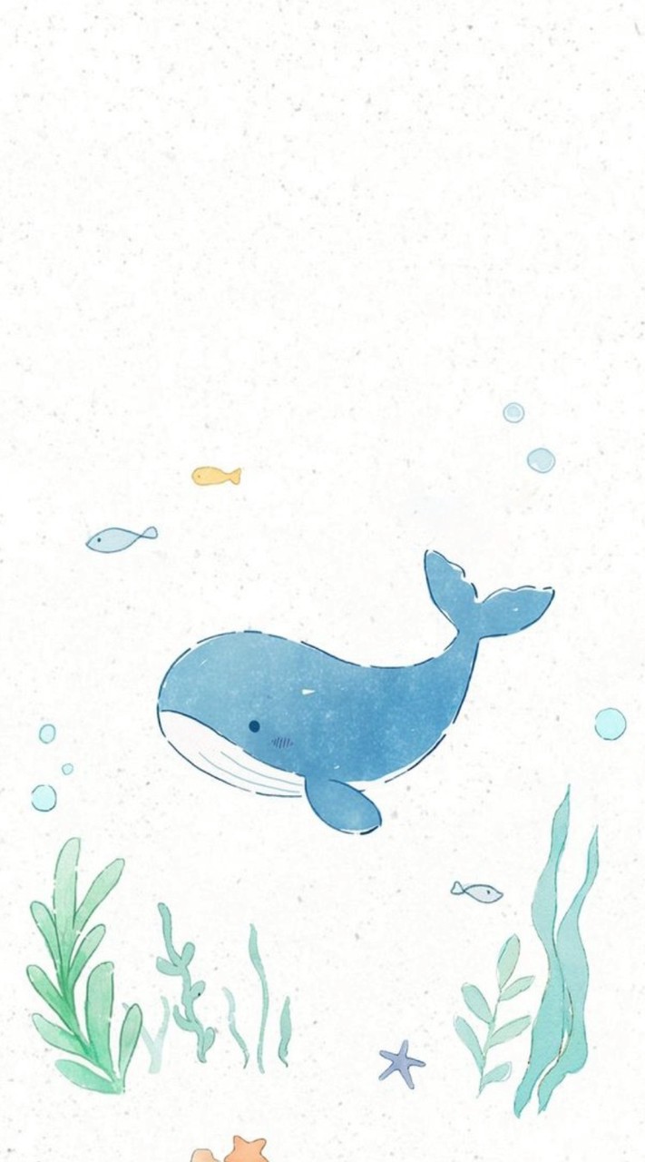 跟京魚一起追星🐳