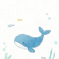 跟京魚一起追星🐳