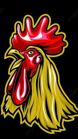 ทีเด็ดไก่เดือย88