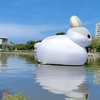 中西醫專業健康及保健免費諮詢