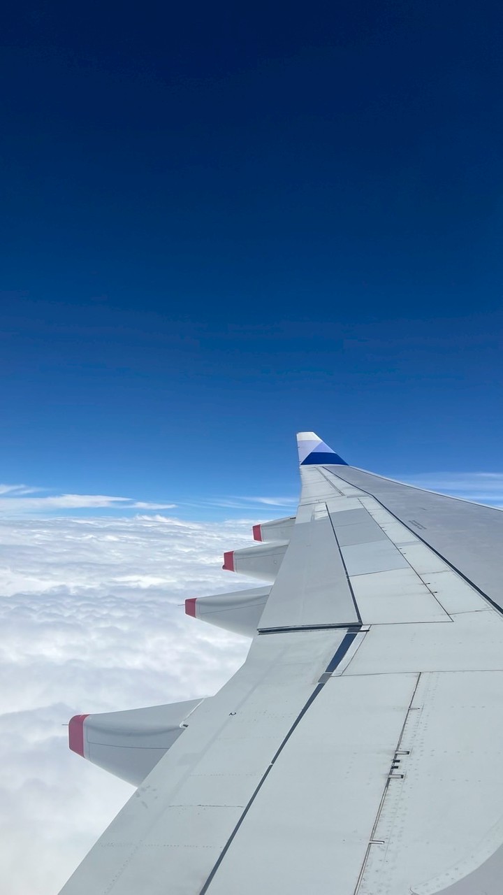 大阪名古屋及零食藥妝代購