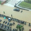 海大汽車族