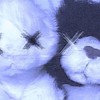 非リアからリア充なれよよーー‼️‼️