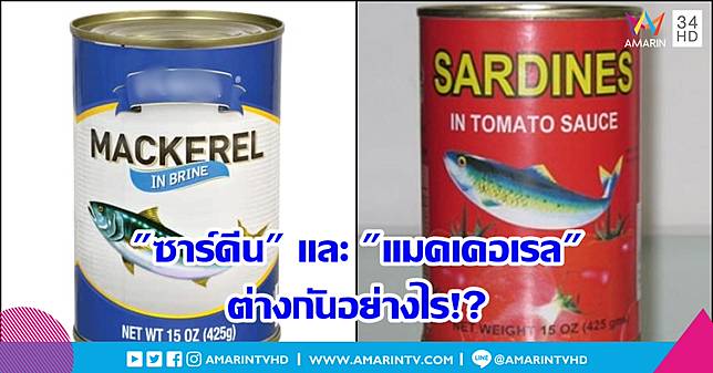 เมื่อในปลากระป๋องมีทั้ง 