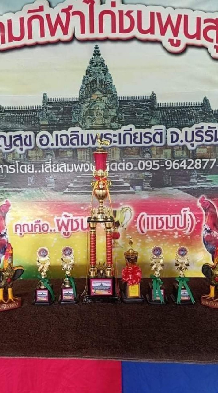 สนามกีฬาไก่ชนพูนสุข
