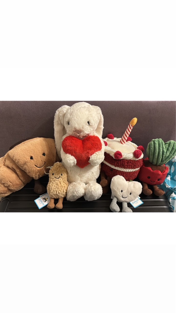 intern_select◝ꪔ̤̮⸝⸝꙳jellycat、sanrio、日韓歐美英代購