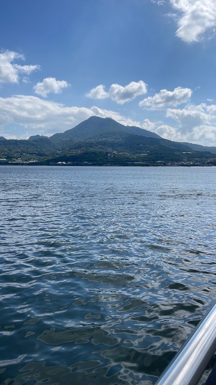 絕不放棄 每天吃雞