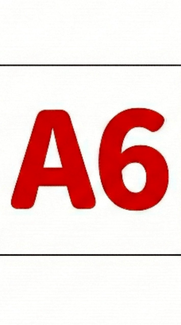 55688 北區A6小隊