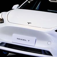 雲嘉南Tesla Model y交流群