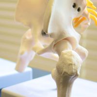 リコンディショニングブック