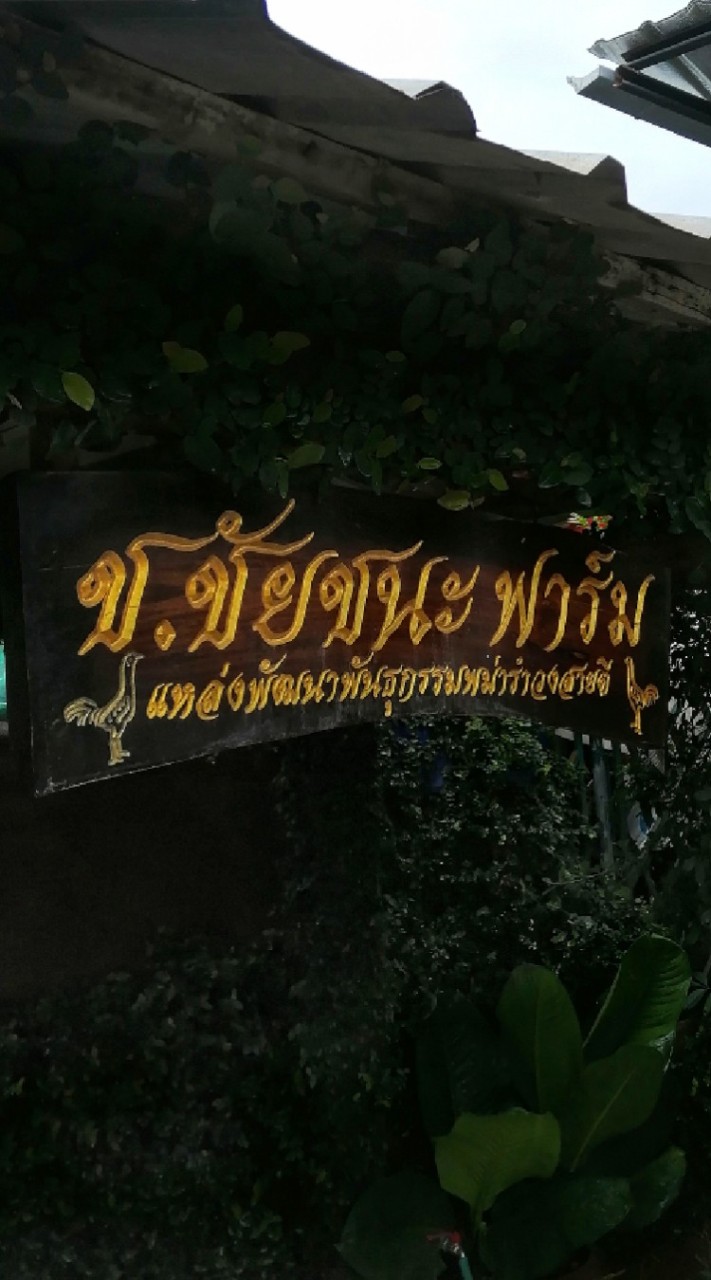 ช.ชัยชนะ​ ฟาร์ม