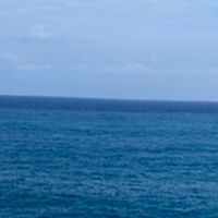 大觀里里務專用