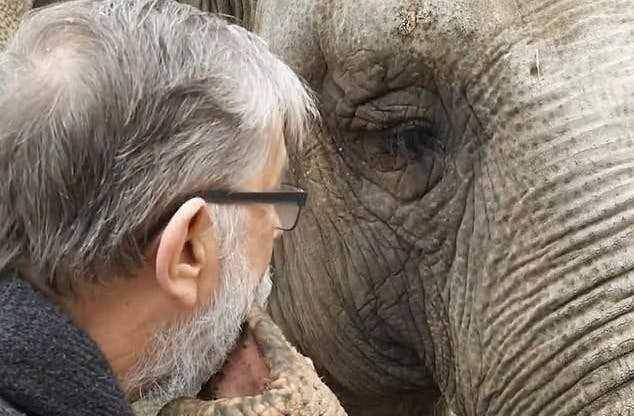 相隔35年 小象 與飼育員重逢 拚命撒嬌 你去哪了 我等你好久啊 Styletc Line Today