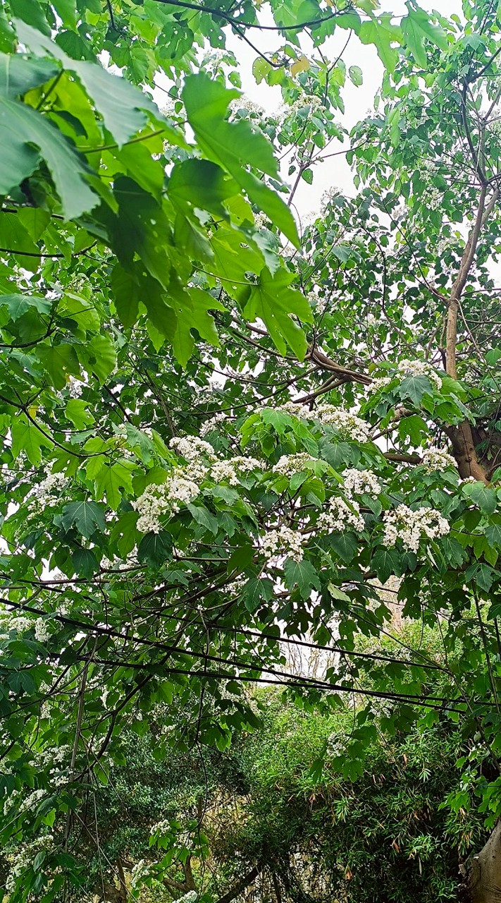 智慧收藏