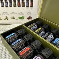 多特瑞討論