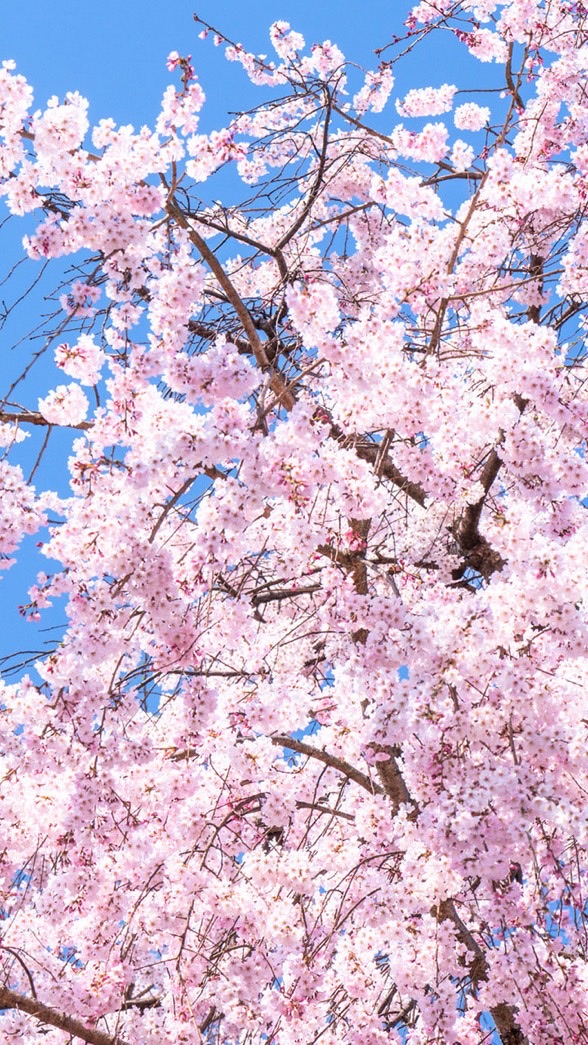 話してみませんかのオープンチャット