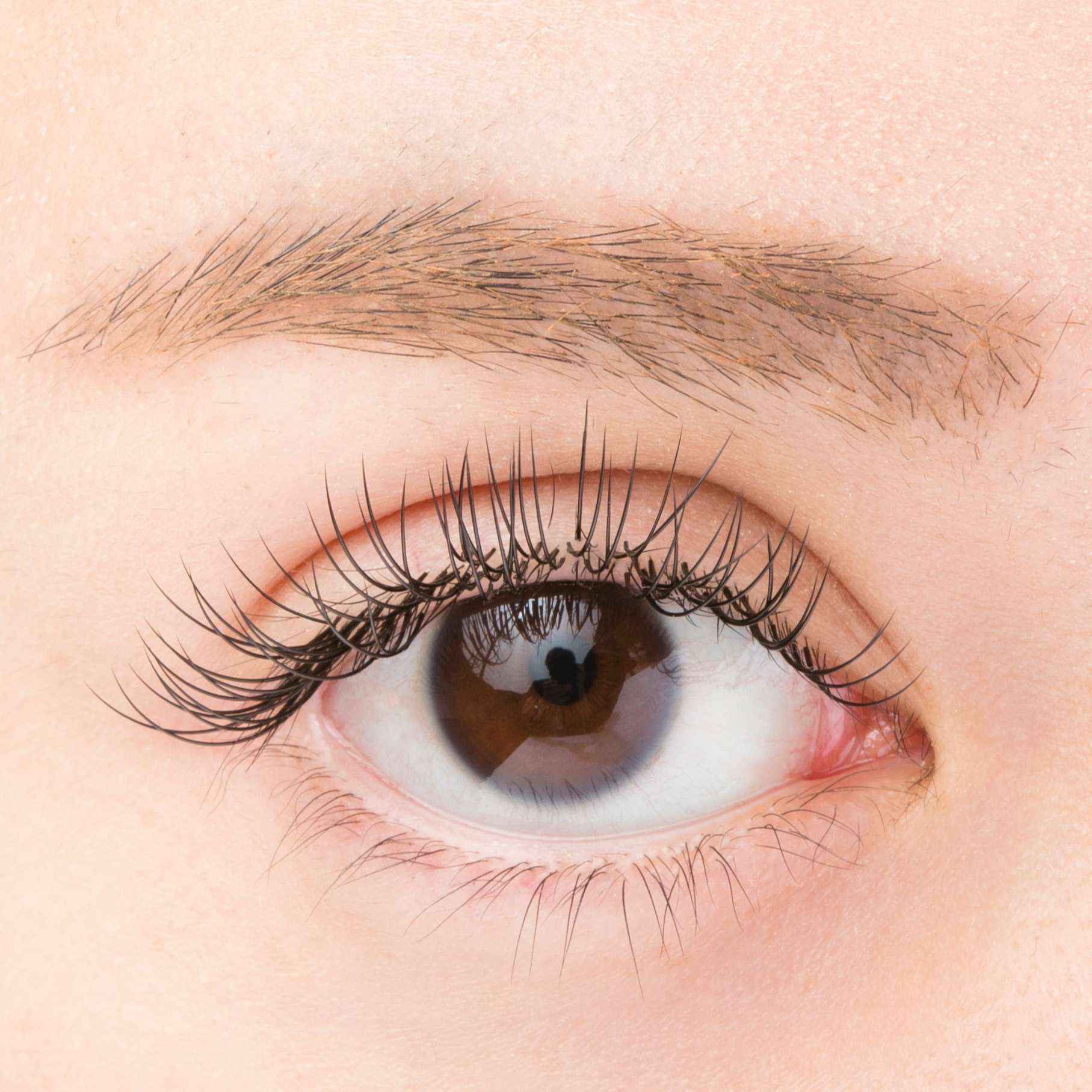 プラスアイ川崎東口店 Line Official Account