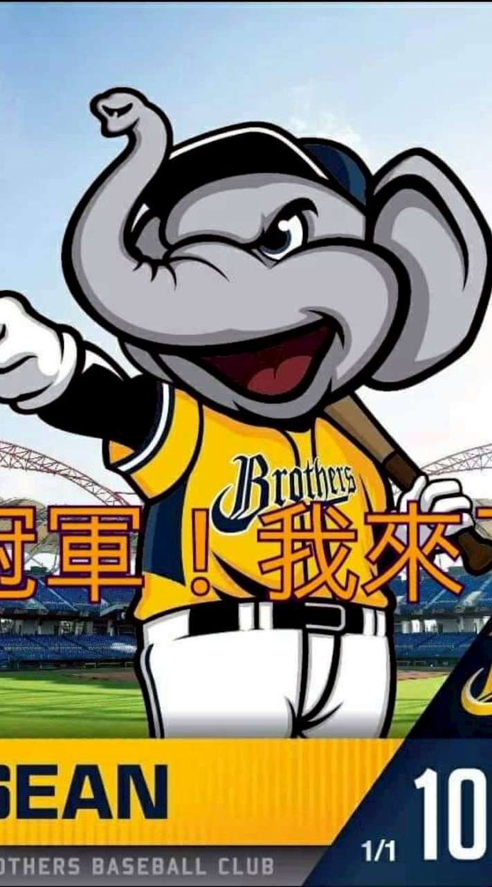 中信兄弟邁象二連霸黃潮之路🐘🏆💪