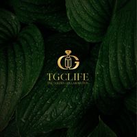TGCLIFE · 培育頂尖IP招募人才