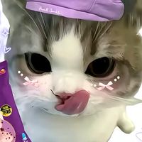 抽象群！🫪🌨️