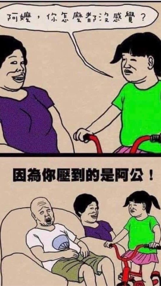 照磚🧱 照顧陪伴 學習專業