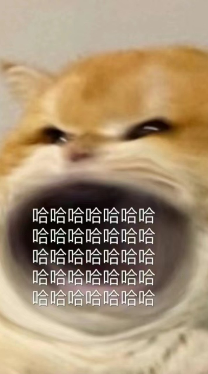 聊天小群
