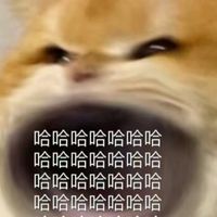 聊天小群