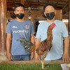 ศิริฟาร์มไก่ชนสายพัฒนาสายเลือด อาลาดิน+ส.มีสุวรรณ🐓🐓🐓