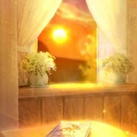 ポケモントレーナーの話がしたい