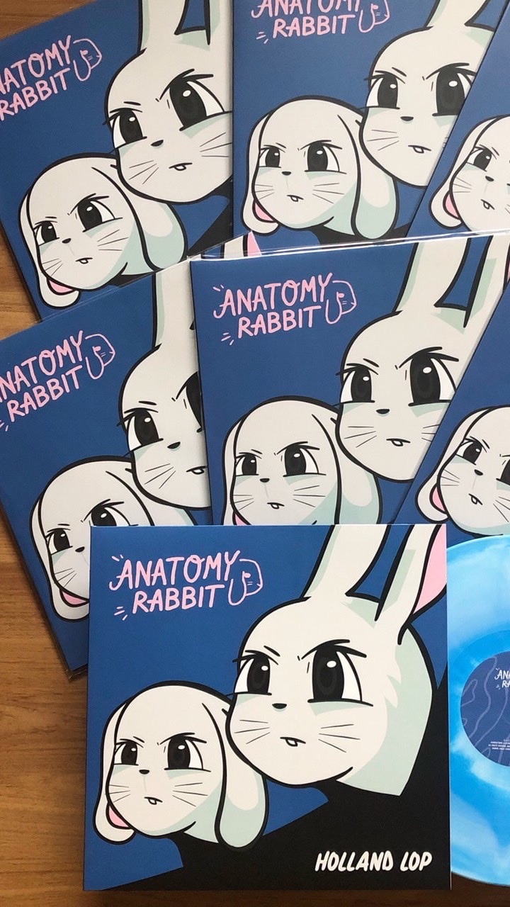 anatomy rabbit