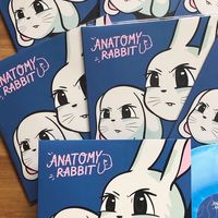 anatomy rabbit