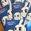 anatomy rabbit
