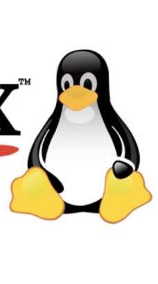 LINUX 雑談質問部屋