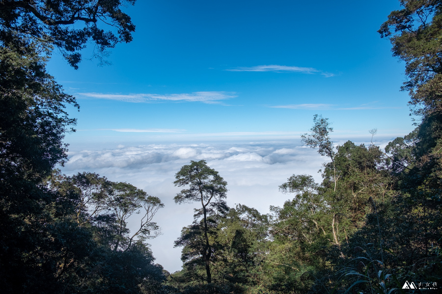 山女孩MelissaxMao冒險生活_水社大山_日月潭登山_路線分享-33.JPG