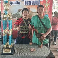 ซุ้ม 31ธันวา APฟาร์ม