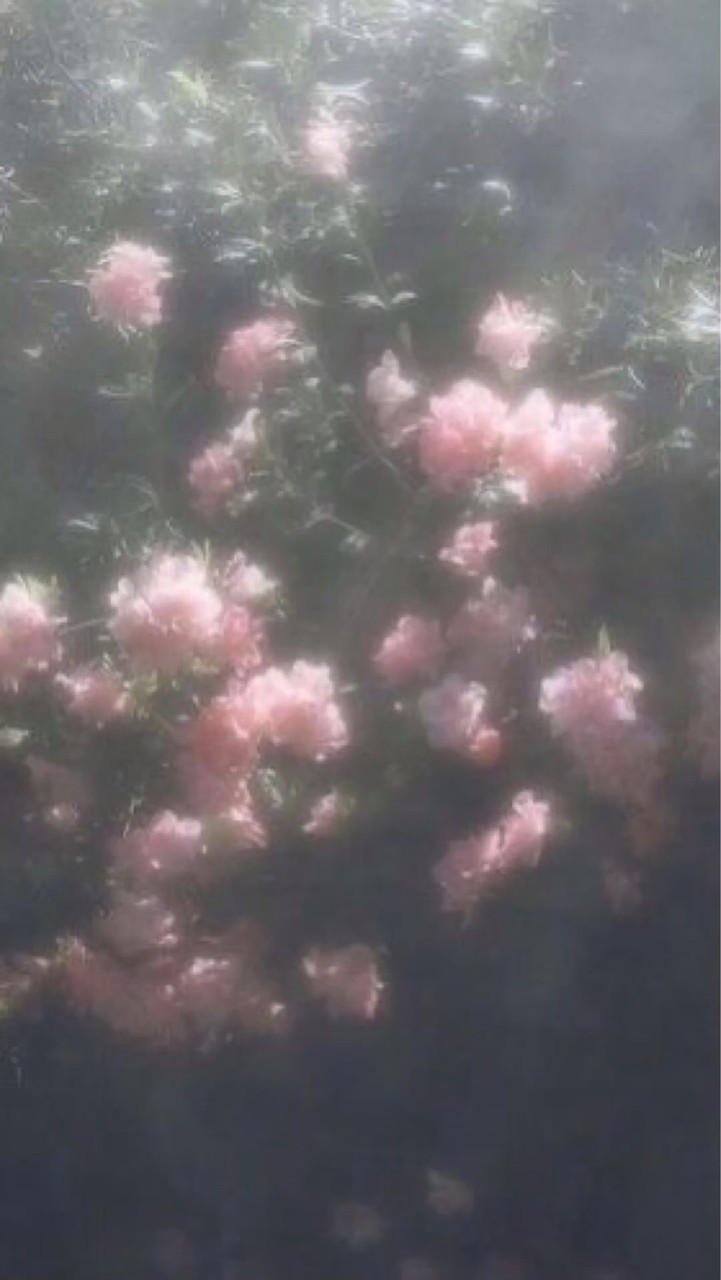 = 愛で ≠私で ≒喜びで