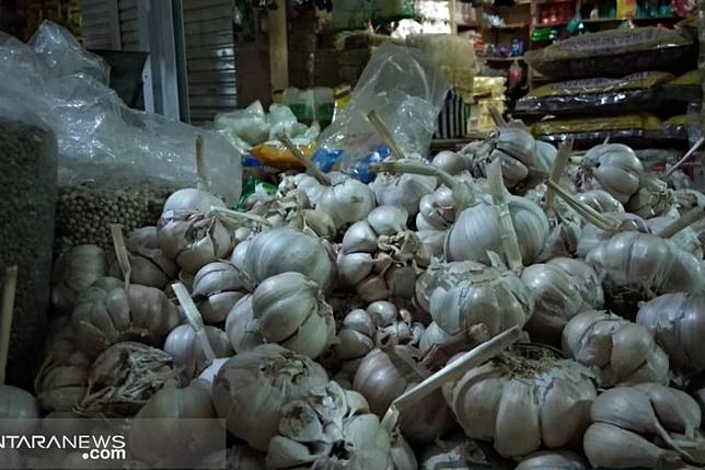 Harga Bawang Putih Di Sukabumi Berangsur Turun