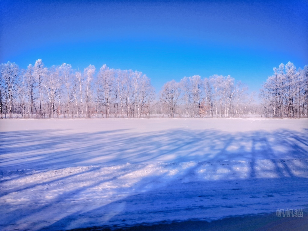 北海道 日勝半島更別村勢雄地區看霧冰大樹町晚成溫泉看海玩雪泡溫泉 Line旅遊