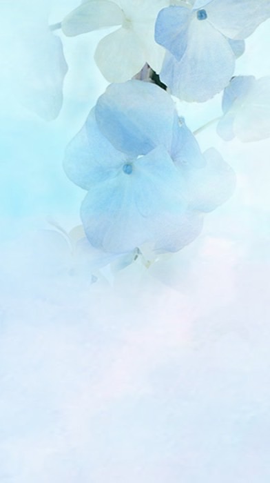 114高一輔導股長社群