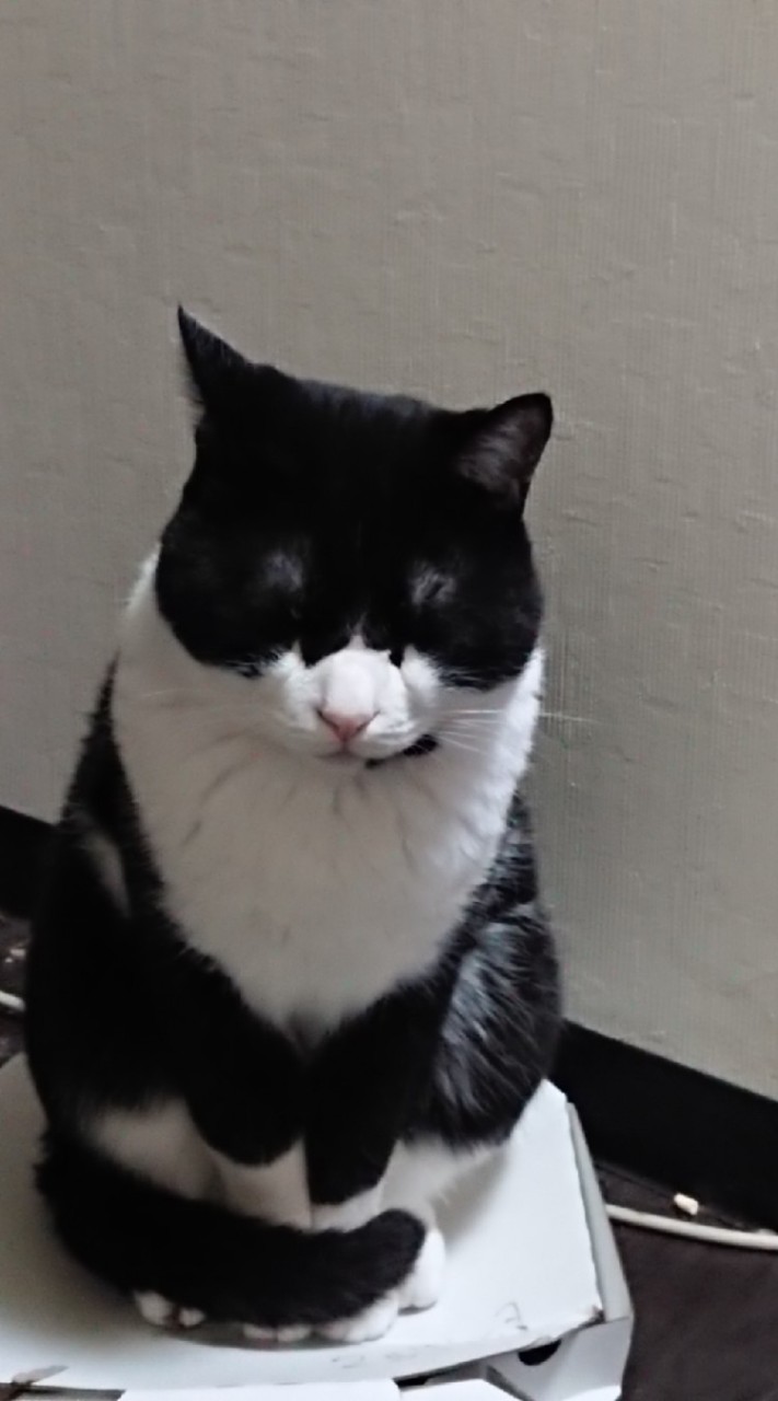 も！のオープンチャット