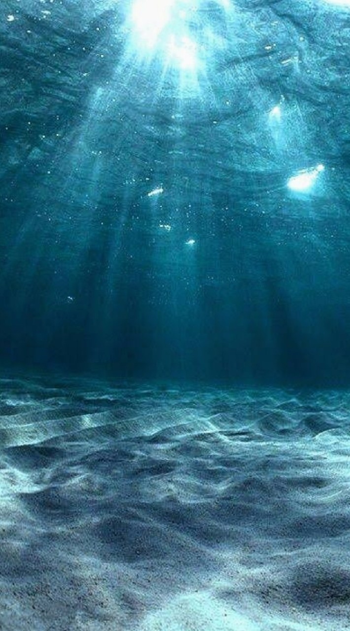 OpenChat 生きづらさを抱える精神疾患･メンタルヘルスの深海 ~SeaBed